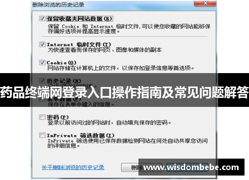 药品终端网登录入口操作指南及常见问题解答
