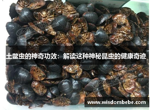 土鳖虫的神奇功效：解读这种神秘昆虫的健康奇迹