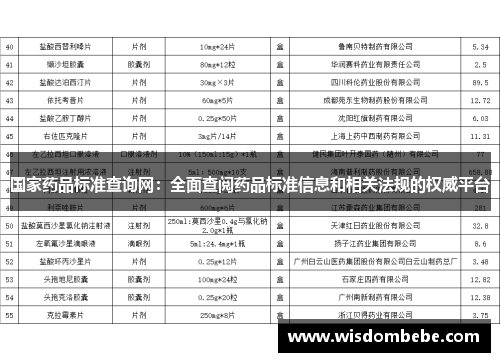 国家药品标准查询网：全面查阅药品标准信息和相关法规的权威平台