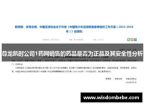 尊龙凯时公司1药网销售的药品是否为正品及其安全性分析